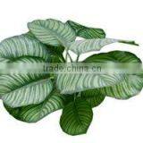 Man-made Green Plant