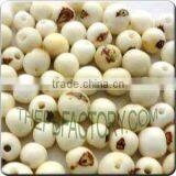 Natural Acai Beads