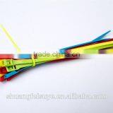 100% hot sale nylon cable tie