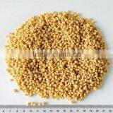 Soy Protein Powder Textured thumbnail-1