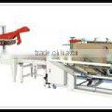 SOLPACK Automatic Carton Packing Machine