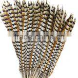 No.1 Manufactor ZPDECOR Best Selling Cheap Long Natural 60-70cm Length Reeves Venery Pheasant Tail Feathers thumbnail-3