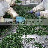 Frozen Chopped Spinach thumbnail-3