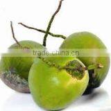 Indian Matured High Quality thumbnail-3