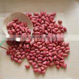 New Crops Red Skin Peanut Kernel thumbnail-2