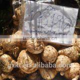 Herbal Pills Women Vagina Tightening Pill thumbnail-4