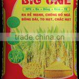 BIG ONE for RICE STAGE 1