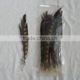 Fly Tying Feather Natural Feather thumbnail-2