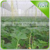 Growing Complete Kits Poly Film Accessories Steel Profiles thumbnail-1