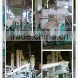 Best Seeling Automatic Wood Pellet Making Line thumbnail-2