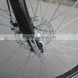 250W Rear Motor,36V10A Lithium Battery,Sinwave Controller,LED Display CE Woman Electric Bicycle/bike thumbnail-5