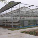 Arch Pipes Poly Multi-span Greenhouse for Vegetables thumbnail-6