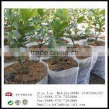 Landscape Gardening pp Nonwoven Fabrics Used To Protect the Plant Roots thumbnail-5