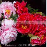 SJ1011784 Wedding Decorative Peony Fake Flower thumbnail-5