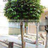 Wholesale Decorative Artificial Orange Tree,fiberglass Artificial Orange Tree thumbnail-4