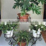 Wrought Iron Flower Rack thumbnail-1