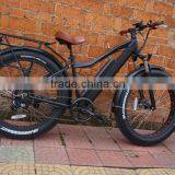 2016 Best Seller Electric Bike Big Power 48V 750W Electric Fat Bicycle thumbnail-4