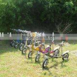 Electric Folding Bicycle thumbnail-1