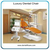 Fashion Dental Chair for Dental Clinic