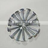 Galvanized Clout Nails With Flat Head thumbnail-5