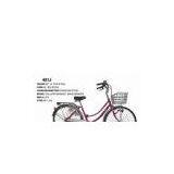 Trditional Bike thumbnail-1