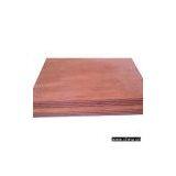 Sell Red Canarium Plywood thumbnail-1