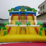 Slide Inflatable Game