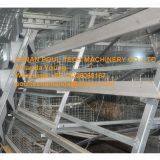 Oman Chicken Farming A Frame Automatic Small Chicken Cage & Poultry Farm Equipment With Drinking & Feeding System for Baby Chick