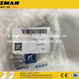 High Quality ZF 4WG200 Transmission Gearbox Spare Parts 750119100-Roller Set(Sp100272)
