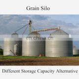 Reasonable Price 1000tons Capacity Steel Silo for Grain Storage