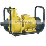 LZSU AC/DC Surface for Agriculture Irrigation Brushless Motor 750w High Pressure Solar Pump thumbnail-2