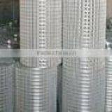 Electro Galvanized Squre Mesh(manufacturer)