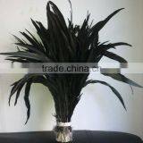 Coque Tails thumbnail-1