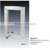 Contemporary Table Lamps /Decorative Table Lighting TB-5117