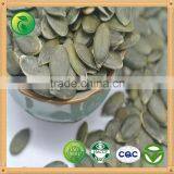 GWS Pumpkin Seeds Animal Feeds thumbnail-1