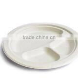 HGHY Tableware Disposable Pulp Molding Machine thumbnail-6