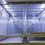 Eutectic Plate thumbnail-6