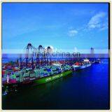 Reliable Sea Freight China to Turkey thumbnail-1