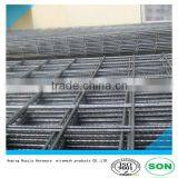 Welded Wire Mesh Construction Material/building Material
