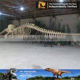 MY Dino-C060 Artificial Sperm Whale Skeleton for Sale thumbnail-1