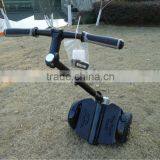 Chic Electric Scooter 1000w 48v