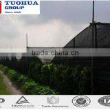 2 Meters * 5 Meters HDPE Farm and Garden Shade Netting thumbnail-4