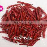 Teja S17 Menor Precio Dry Red Chilli