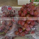 Red globe Grapes