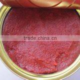 Fresh Canned Tomato Paste Tomato Puree 70g 400g Packing thumbnail-1