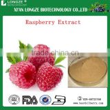 Best quality of raspberry extract / raspberry P.E for comestic standard