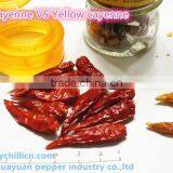 Red Cayenne Pepper thumbnail-4