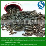 Chinese 5009 Roasted and Salted Sunflower Seeds for Human Consumption