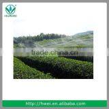 Spray Irrigation Sprinkler Manufacturer Water Mist Sprinkler