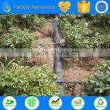 Drip Tape Irrigation System for Agriculture Waterring &irrigation System thumbnail-4